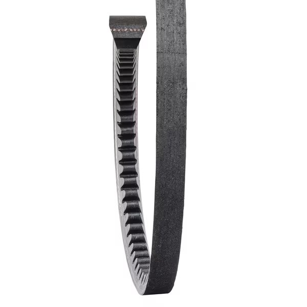 BX58 Gold-Ribbon Cog-Belt, Carlisle, Mfr#: BX58